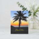 Search for hollywood postcards Palm trees