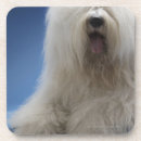 Search for sheepdog barware Cute