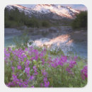 Search for wilderness stickers Snow