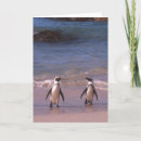 Search for pair cards Africa