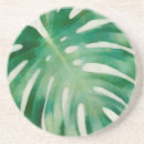 Search for monstera coasters Tropics