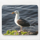 Search for seagull mousepads Animals