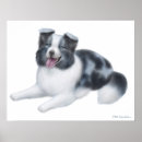 Search for aussie aussie aussie posters Merle