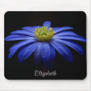 Search for gerberas mousepads Flower