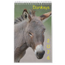 Search for donkeys Grey