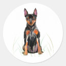 Search for min pin stickers Pet
