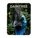 Search for birds magnets Travel