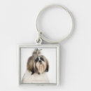 Search for shih tzu key rings Sitting