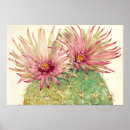Search for cactus art Pink