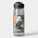 Search for budgies Photography