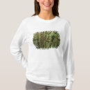 Search for hoh Big leaf maple