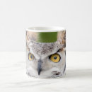 Search for great horned owls mugs Photography