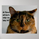 Search for grumpy humour posters Cat