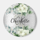 Search for ornate initials magnets Silver