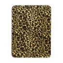 Search for leopard print magnets Animals