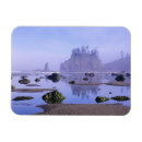 Search for olympic national park magnets Sea