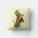 Search for parakeet cushions Colourful