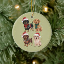 Search for dachshund christmas tree decorations Santa