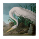 Search for heron tiles John james audubon