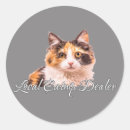Search for cutest stickers Funny