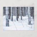 Search for jura postcards Snow