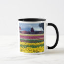 Search for display mugs Flower