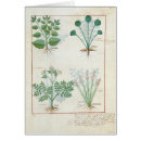 Search for medicinal plants postcards Medical