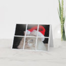 Search for ragdoll cat christmas cards Pet