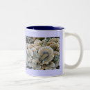Search for fungus mugs Woods