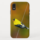 Search for goldfinch iphone cases Bird