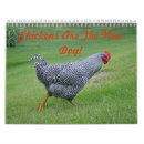 Search for chicken calendars Hens