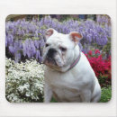 Search for wisteria mousepads White