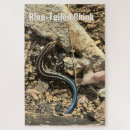 Search for blue lizard toy games Skink