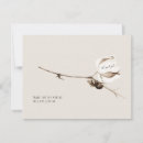 Search for cotton cards Modern