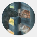 Search for loveable stickers Adorable