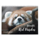 Search for endangered photography Wild