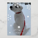 Search for dog cat christmas cards Simple