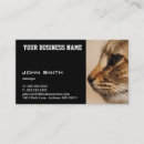Search for cat business cards Kitty