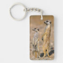 Search for alertness key rings Behaviour
