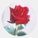Search for single rose stickers Romance
