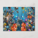 Search for aquarium postcards Tropical