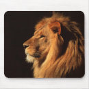 Search for african lion mousepads Lions