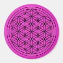 Search for sacred geometry magnets Flower of life