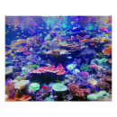 Search for aquarium posters Tropical
