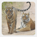 Search for royal tiger stickers Young