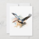Search for pelicans cards Wildlife