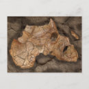 Search for dinosaur fossil postcards Prehistoric