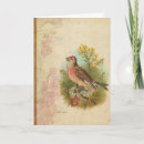 Search for linnet Vintage