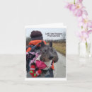 Search for wanders cards Funny