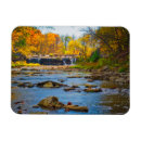 Search for recreational magnets Landscape